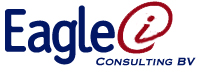 Eagle Eye Consulting